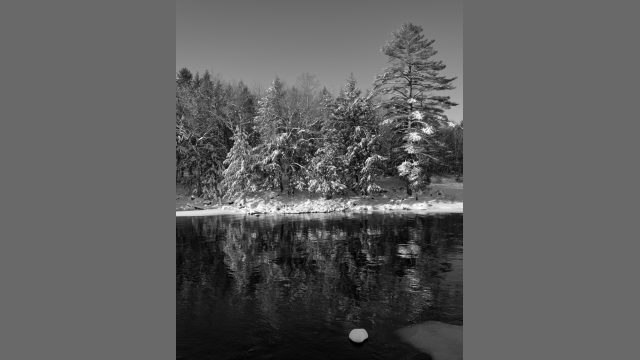 Rive - Rivière Ouareau QC 2023 - $80